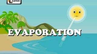 Evaporation  Elementary Science [upl. by Akehs]