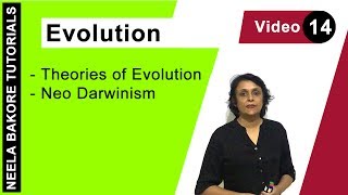 Evolution  NEET  Theories of Evolution  Neo Darwinism  Neela Bakore Tutorials [upl. by Odragde]