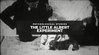 The Little Albert Experiment [upl. by Buller871]