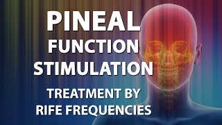 Pineal Function Stimulation  RIFE Frequencies Treatment  Energy amp Quantum Medicine  Bioresonance [upl. by Ziguard]