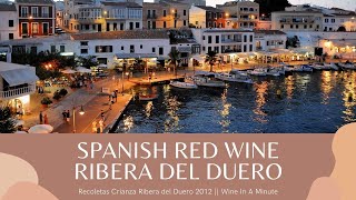 Spanish Red Wine Ribera del Duero [upl. by Ahsurej436]