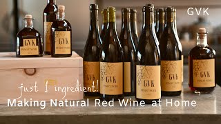 How to Make Natural Red Wine at Home [upl. by Halland]