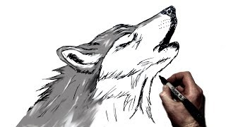 How to Draw A Howling Wolf  Step by Step [upl. by Kaia]