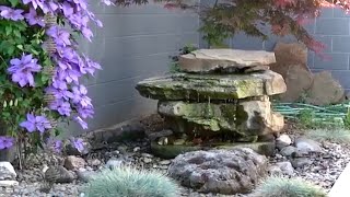 The EASIEST Water Feature to DIY [upl. by Enileqcaj]