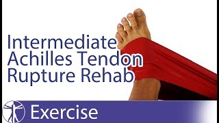 Intermediate Achilles Tendon Rupture Repair Rehab [upl. by Suixela320]