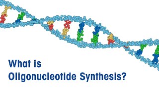 What is Oligonucleotide Synthesis [upl. by Yentruoc623]