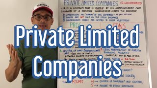 Private Limited Companies [upl. by Dickie]