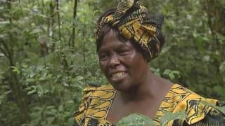 Wangari Maathai Tribute Film [upl. by Drofla]