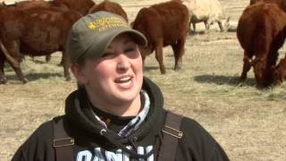 A Day in the Life at King Ranch in Wyoming [upl. by Malloch]