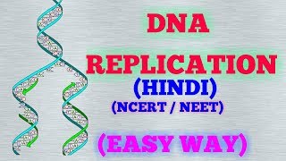 DNA REPLICATION HINDI EASY WAY  NCERT [upl. by Schatz]