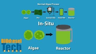 Biodiesel Production Methods [upl. by Essirahs]