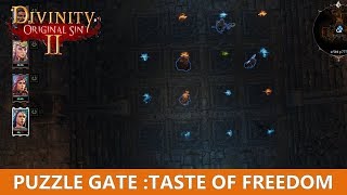 Puzzle Door Taste of freedom puzzle Divinity Original Sin 2 [upl. by Einnhoj]