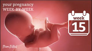 15 Weeks Pregnant  Natural Pregnancy WeekByWeek [upl. by Idonah162]