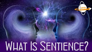 What is Sentience [upl. by Marianna]