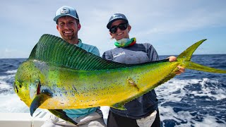 Deep Sea Fishing in Miami Dolphin Wahoo Amberjacks and Tripletail [upl. by Tammany]