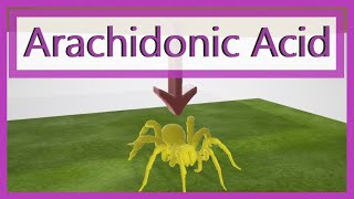 Arachidonic Acid Pathway Mnemonic [upl. by Ahtaela656]