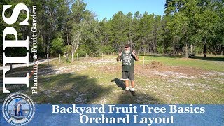 Backyard Fruit Tree Basics  Orchard Layout [upl. by Fatima]