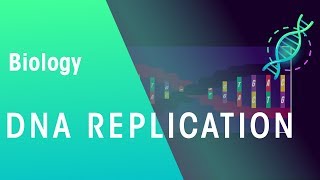 DNA Replication  Genetics  Biology  FuseSchool [upl. by Peper]