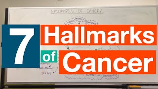 Hallmarks of Cancer  Pathophysiology [upl. by Domash]