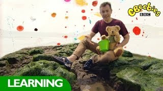 CBeebies Show Me Show Me  Rockpools [upl. by Baalbeer]