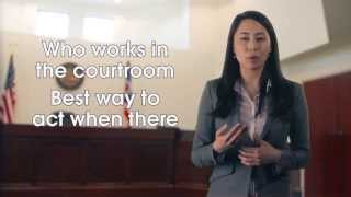 The courtroom amp how it works [upl. by Higginson]