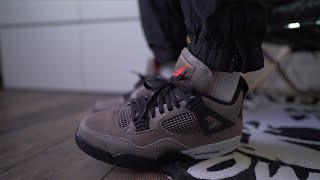 Air Jordan 4 Taupe Haze Review [upl. by Doone]