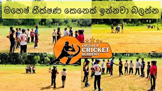 LAGGALA CRICKET ACADEMY WILGAMUWA DETAILS DESCRIPTION [upl. by Achorn]