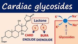 Cardiac glycosides in easy way  Digoxin digitoxin [upl. by Odrarebe]