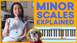 Minor Scales Explained in 8 Minutes [upl. by Airotahs]