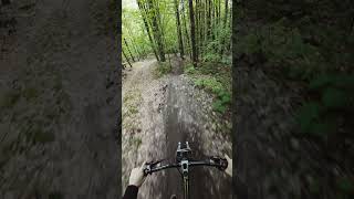 tacky dirt on local singletrails shorts enduromtb [upl. by Aitahs]