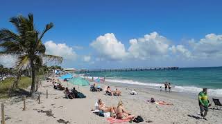 Dania Beach Pier Webcam Highlights [upl. by Shem]