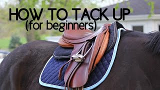 How To Tack Up Your Horse English [upl. by Yrekaz]