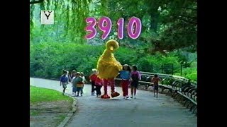 Sesame Street  Episode 3910 [upl. by Roselia]