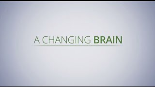 Brain Changes and Dementia [upl. by Turro]