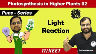 Photosynthesis in Higher Plants 02  Light Reaction I Class 11 l Pace Series [upl. by Culley967]