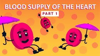 How The Heart Supplies Blood to Itself Part 1  Physiology [upl. by Edy]