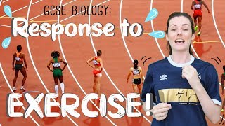 Response to Exercise  GCSE Biology [upl. by Petta100]