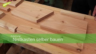 Anleitung Nistkasten selber bauen [upl. by Ynove]