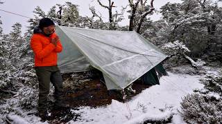 Winter Camping In A Snow Storm With Dog [upl. by Rizika]