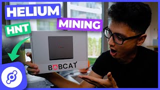 Helium Mining HNT Bobcat Miner 300 Unboxing amp How to Setup [upl. by Olsewski]