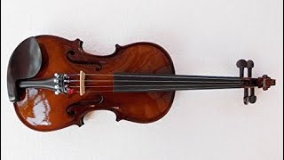 MUSICAL STRING 44 Violin Unboxing demo [upl. by Akzseinga]