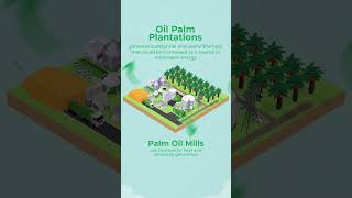 Malaysian Palm Oil Biomass [upl. by Paquito]