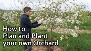 How to Plan and Plant your own Orchard [upl. by Leummas]