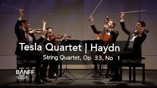 Tesla Quartet  Joseph Haydn String Quartet Op 33 No 1 [upl. by Eellah346]