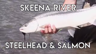 Summer Steelhead  Skeena River Fishing [upl. by Kirsti]