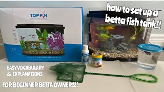 HOW TO SET UP A BETTA FISH TANK  PROPERLY for beginners [upl. by Llerreg]