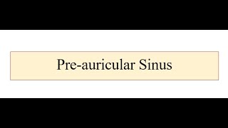 Preauricular Sinus [upl. by Hedley]