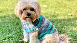 Crochet a dog sweater  Small  30cm long  Full tutorial [upl. by Jacinto]