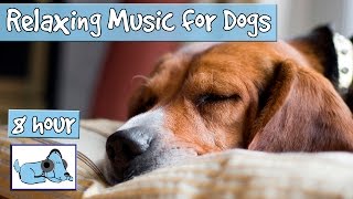 OVER 8 HOURS of Sleep Music for Dogs Help Your Dog Calm Down and Get to Sleep with our Playlist [upl. by Sucramraj]