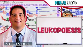 LEUKEMIA Causes Signs and Symptoms Diagnosis and Treatment [upl. by Atiram225]